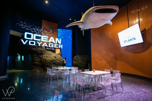 Georgia Aquarium interior