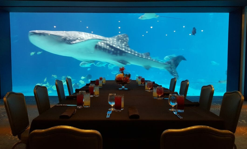 Shark swimming in aquarium tank in front of large table